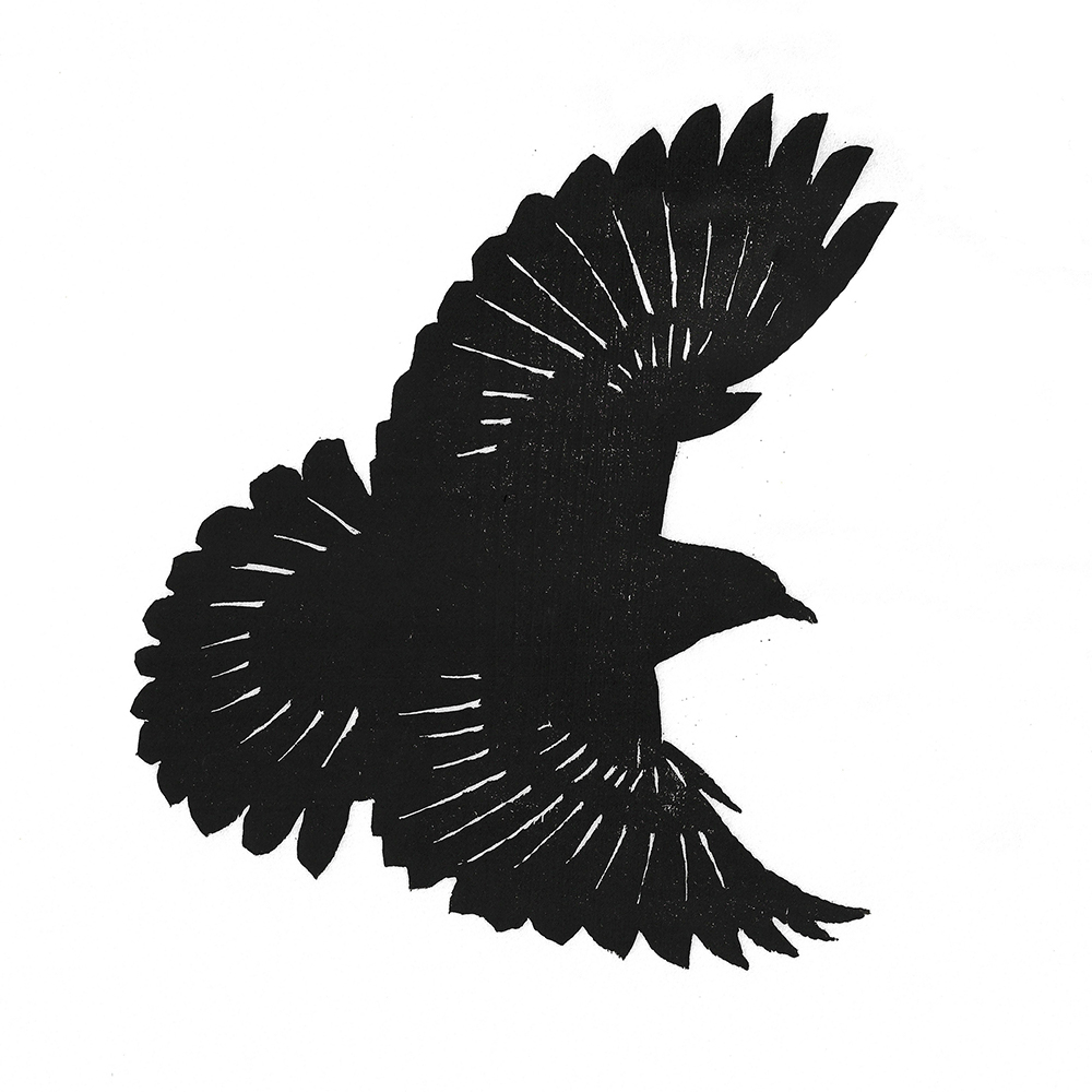 Mark Weaver - Blackbird (2021)
