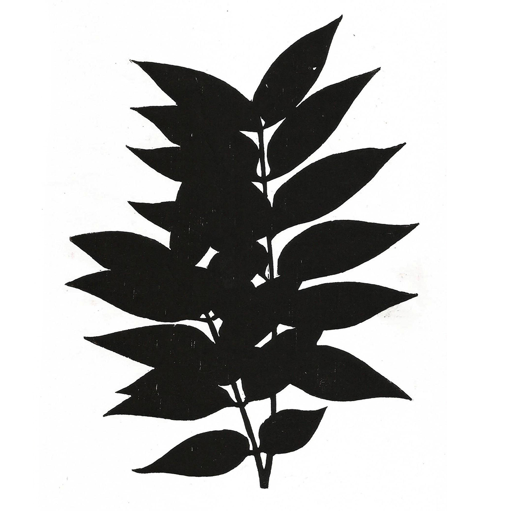 Mark Weaver - Chinese Pistache (2019)
