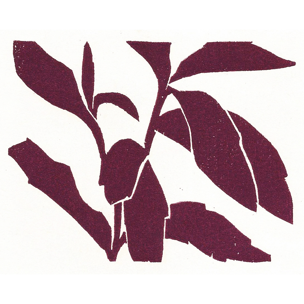 Mark Weaver - Red Leaves (1981)