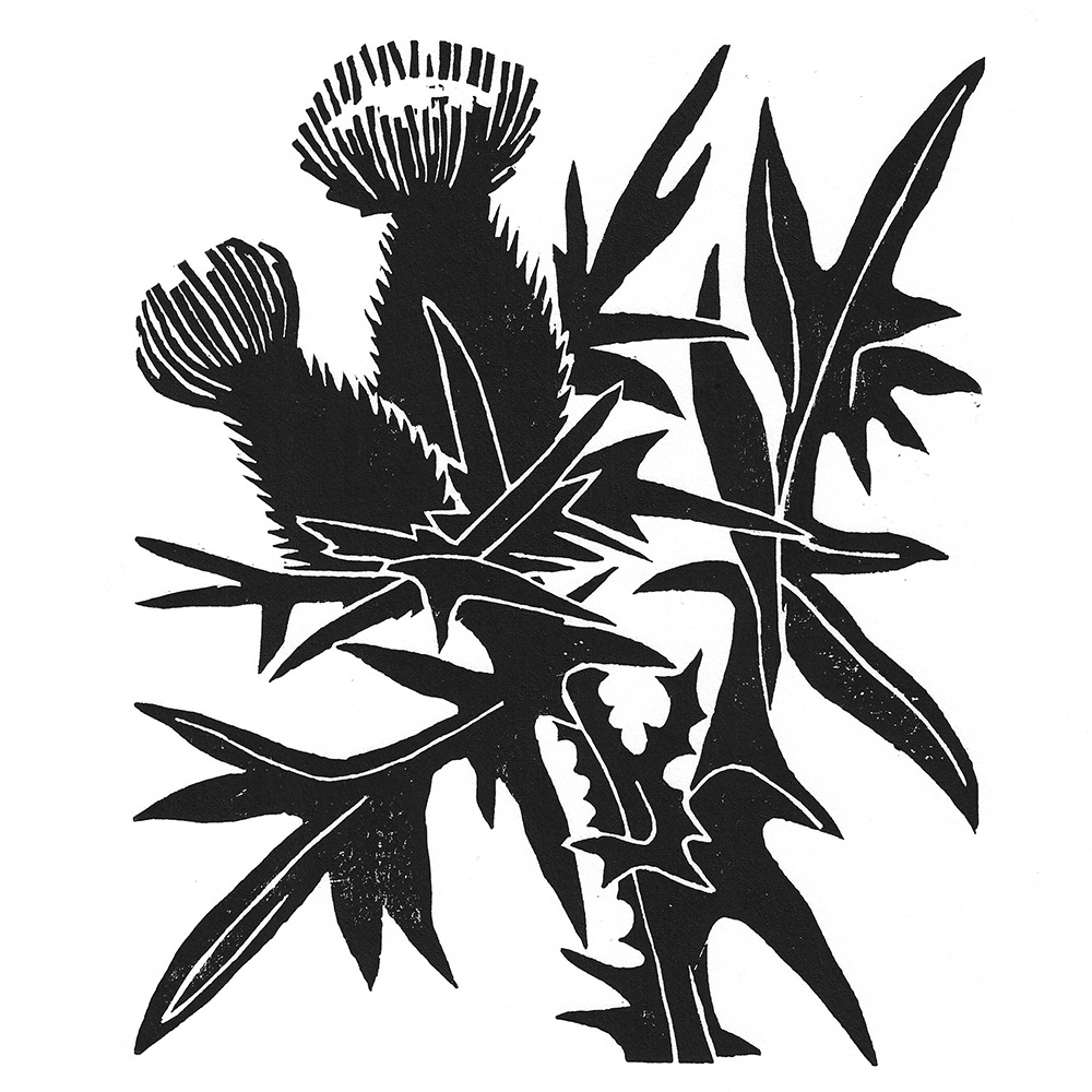Mark Weaver - Thistle (2022)
