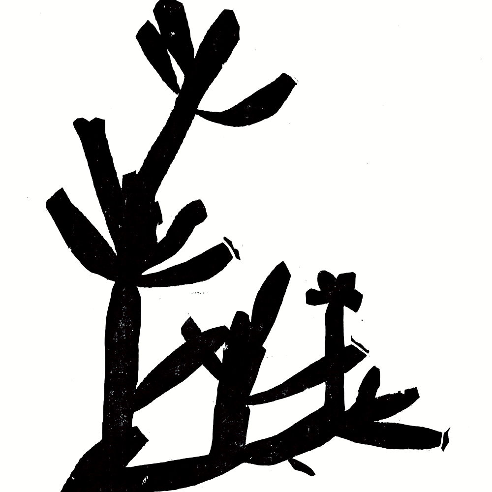 Mark Weaver - Cholla (2019)
