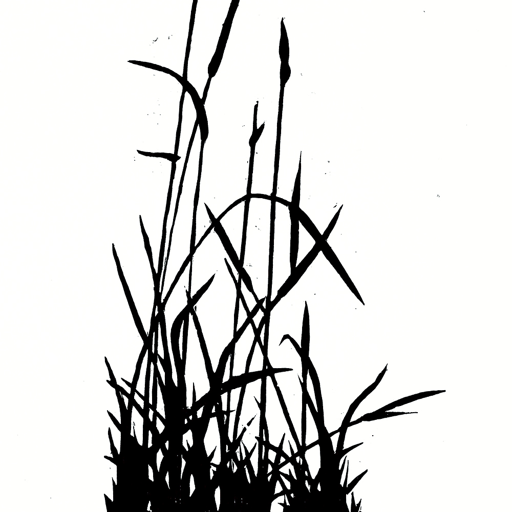 Mark Weaver - Grass (2019)