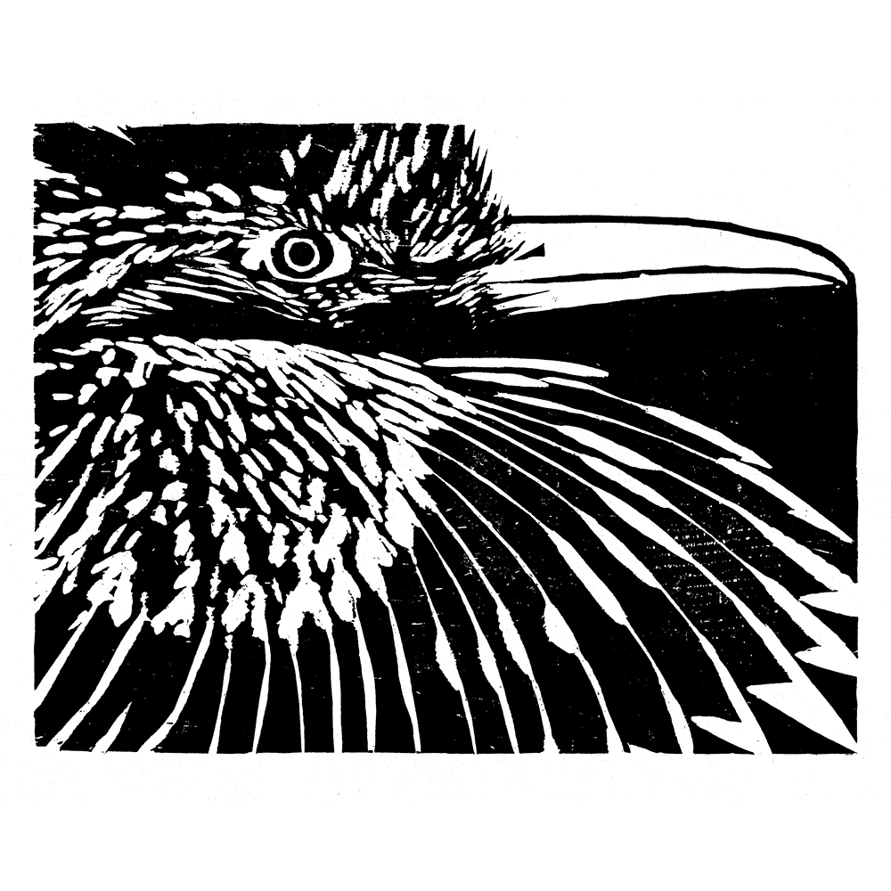 Mark Weaver - Roadrunner (2019)